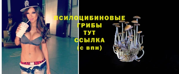 мескалин Белокуриха