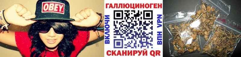 Псилоцибиновые грибы GOLDEN TEACHER  Воронеж 